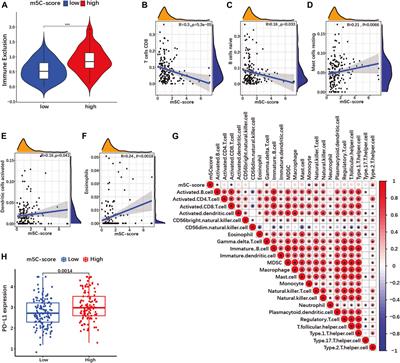 An m5C methylation regulator-associated signature predicts prognosis and therapy response in pancreatic cancer